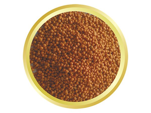 ��Ĥ���͸��Ϸ���